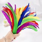Natural Rooster Tail Feathers 50pcs 10-12inch Long Rooster Coque Tail Feathers B