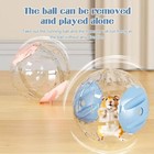 Hamster Running Ball Large Transparent Rolling Toy Car Exercise Wheel Small Pets