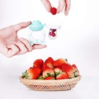 Baby Fruit Food Feeder Pacifier - Fresh Food Feeder  Infant Fruit Teething Te   