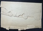 Early Fancy Cancel Star On Postal Stationary Wrapper Cover Toledo Oh