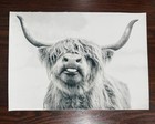 Highland Cow Canvas Print   Highland Cattle Canvas Print