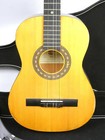 Amigo By Lotus Am30 Nylon String Classical Acoustic Guitar With Case