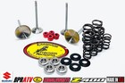 Suzuki Drz400 Kibblewhite Titanium Spring Kit White Diamond Valves Std Red Seals