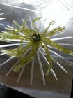 Angling Ai 3 5  Skirt Bait Mold