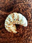 Beetle Spawning And Breeding Substrate  flake Soil   6 6lb One  Pack