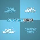 Evlution Nutrition Ultra Pure Creatine 5000 - 60 Servings New  Fast Shipping  