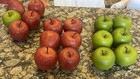 6 Pcs Faux Apples Variety Choice Red Green Artificial Fake Fruit Kitchen Decor
