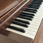 Yamaha Console Upright Acoustic Piano W  Matching Bench Walnut Local Pickup