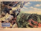 Giant Over Hang  Great Smoky Mountains National Park  - Vintage Postcard