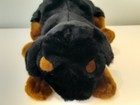 Animal Alley Rottweiler Puppy 11  Plush Black Brown Dog Stuffed Animal Toys R Us