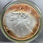 2000 American Silver Eagle  1 Wtc Ground Zero Recovery Pcgs Gem Uncirculated
