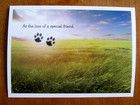 One Pet Sympathy Greeting Card  Env    Seal For The Loss Of A Special Dog