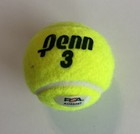 Aryna Sabalenka Signed Tennis Ball Psa Coa