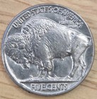 1 buffalo Nickel Fine  With Readable Date  New Stock  Fast Ship             Bonus     