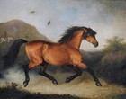 Handmade Old Master-art Antique Oil Painting Animal Bay Racehorse On Canvas