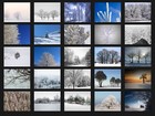 200 Winter Snow Trees Digital Photoshop Overlays Backdrop Background Photography