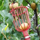 Best Garden Fruit Harvest Picker Metal Tong Padded Basket Red  Blue