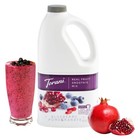 Real Fruit Smoothie Mix  Blueberry Pomegranate  64 Ounce