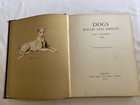 Rare Dog Book  dogs Rough   Smooth  By Lucy Dawson 1st 1937 Chow Corgi Dachshund