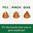 Greenies Feline Pill Pockets For Cats Natural 1 6 Ounce  pack Of 1   Salmon 