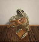 Vintage Taxidermy Frog Playing A Violin