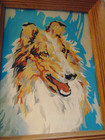 Collie Dog Paint By Number-framed-vintage