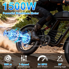 Electric Bike For Adults  1000w 1500w 3000w Ebike 48v 15 20 35ah E Bike 20  Fat