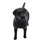 Beswick Matte Black Labrador Figurine Solomon Of Wendover Home Decor Display