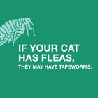 Tapeworm Dewormer  praziquantel Tablets  For Cats And Kittens 6 Weeks An