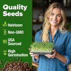 Broccoli Sprouting   Microgreens Seeds - 64 200 Non-gmo Heirloom