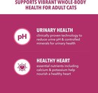 Iams Proactive Health Adult Urinary Tract Healthy Dry Cat Food With Chicken  22
