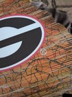 Georgia Bulldogs State Shape Road Map Wall Hanging