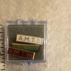 Amt Award Pins Personal
