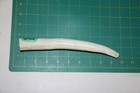 Small Upper Elk Antler Dog Chew  32   Bone Chews Moose Treats Deer 1106