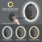 Led Lighted 24 w X 32 t Wall Mounted Oval Frameless Bathroom Vanity Mirror