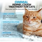 Kennel Cough Treatment   Natural Infection Medicine For Cats Allergy Relief 60ml