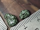  8g Very Bright  from Island  Isle Royale Greenstone Chlorastrolite Michigan Gem