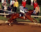 Lot Of 2  Secretariat 8 X 10 Photos Horse Racing Kentucky Derby Preakness Stakes