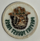 Vintage Smokey Bear  prevent Forest Fires  Embroidered Patch - 2 