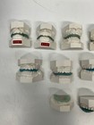 Lot 25 Vtg Dental Plaster Real Tooth Teeth Molds Dentist Cast Impressions  a