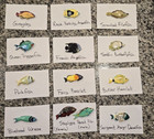 Wooden Reef Fish Hanging Mobile - Handmade And Hand Painted - Caribbean Fish Lg