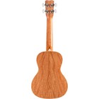 Cordoba 15c Concert Ukulele  Sea Sky 197881489779 Rf