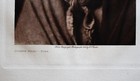 1907 Original Photogravure  joseph Head-pima   By Edward S curtis 