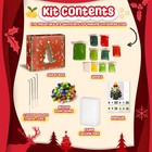 Kids King Needle Felting Kit For Handicraft Beginners Teens   Multi Color