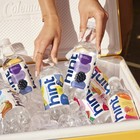 Hint Fruit-infused Water Variety Pack  12 X 16oz Bottles