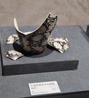 C17  Black-ground White-flower Porcelain Shard Of Jizhou Kiln song Dynasty               