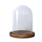 Glass Dome Display Bell Jar Decorative Clear Glass Dome Display Case One Size Us