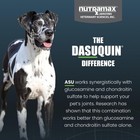 For Large Dogs Joint Health Supplement With Glucosamine