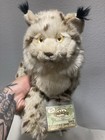 Ganz Webkinz Signature Endangered Iberian Lynx Plush With Code  Retired Rare Nwt