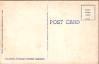 Colorful Florida Cypress Gardens Vintage Postcard